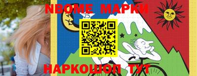 гашик Кулебаки