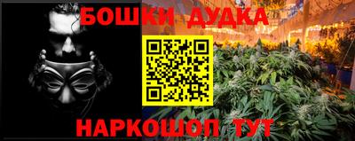 сатива Кунгур